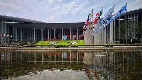 與世界共享農(nóng)業(yè)未來 世界農(nóng)產(chǎn)品點(diǎn)亮中國進(jìn)博會